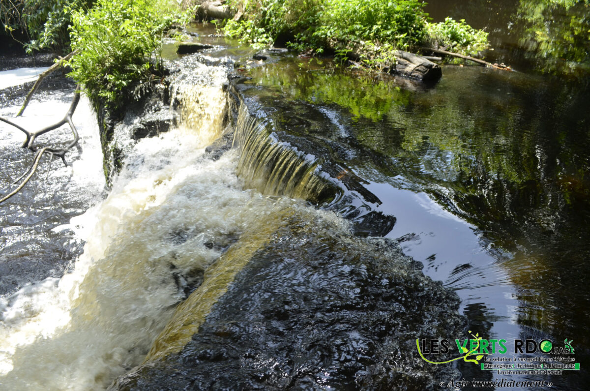 Etudes d’Impacts Environnemental et Social de la construction du Micro – centrale Hydroélectrique sur la rivière Yame  dans le territoire de Banalia province de la Tshopo en République Démocratique du Congo.