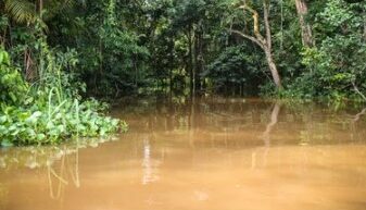 Plan de mise en conformité environnementale et sociale de 2 stations relais de téléphonie mobile, sandoa2 et kimin mining situées dans les territoires de sandoa et lubudi, pour le compte de la société orange RDC SA, province du Lualaba RDC