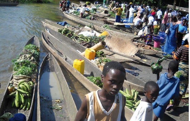 Plan de mise en conformité environnementale et sociale de la station relais de téléphonie mobile (boso-simba) située dans territoire de bongandanga, province de la Mongala, pour le compte de la société orange RDC SA