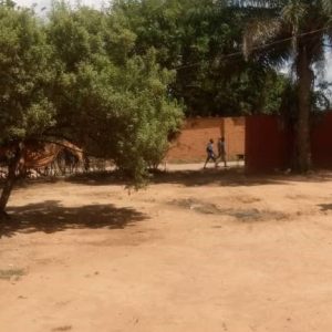 Plan de mise en conformité environnementale et sociale  de 4 stations relais de téléphonie mobile à Lubumbashi  (Karavia, Madinischool, lub_pullman et bolloré lubumbashi) pour le compte de la société orange RDC sa, province du haut-katanga-RDC